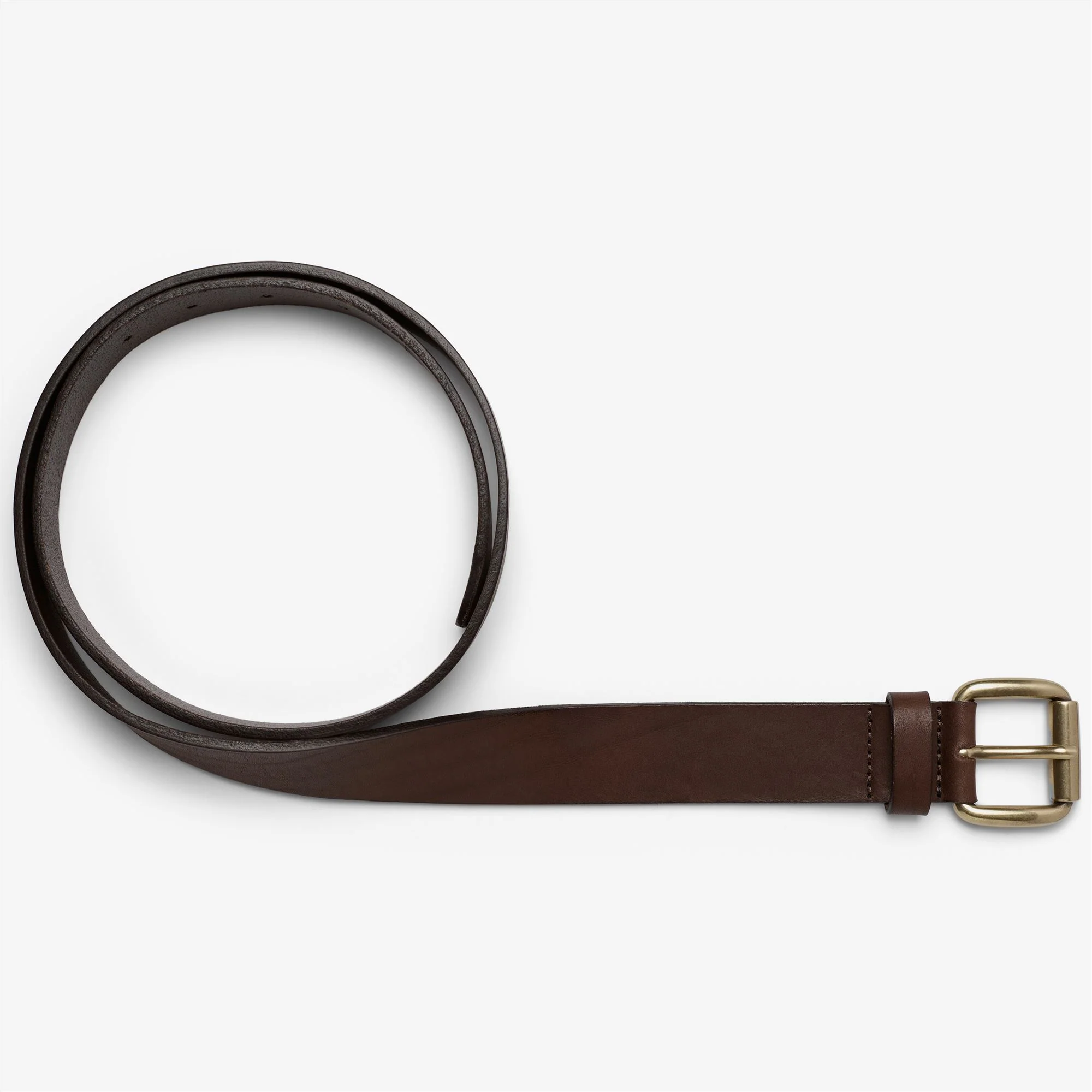 EARL - Small Accessories - Belt - Man - Brown Seal